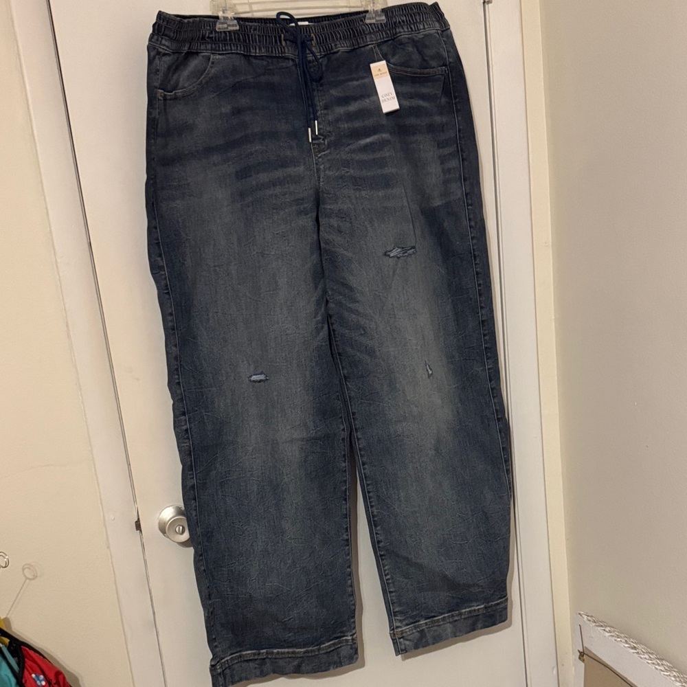 Lane Bryant Dark Blue Distressed Jeans